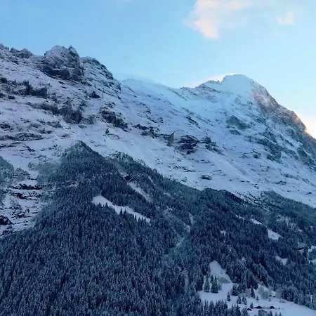 Caroline جريندلوالد