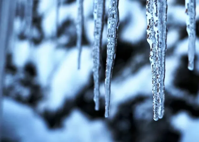 شقة Caroline جريندلوالد